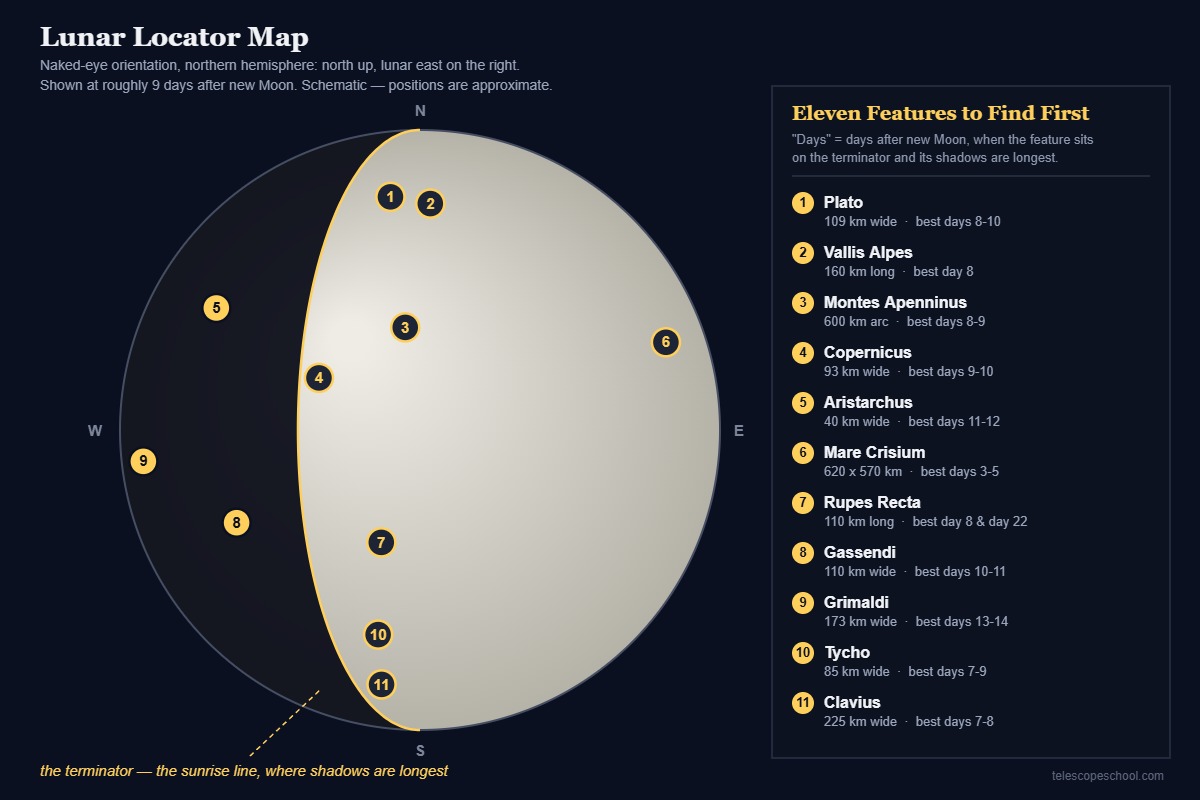 Schematic map of the Moon at nine days after new Moon with eleven named craters and features numbered along the terminator