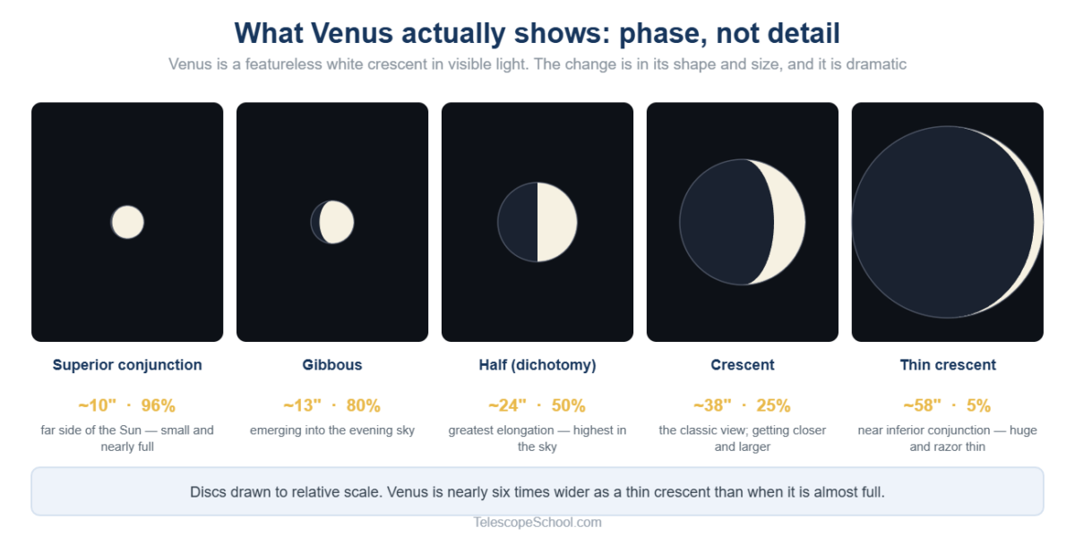 Venus phases drawn to relative scale from a 10 arcsecond gibbous disc to a 58 arcsecond thin crescent